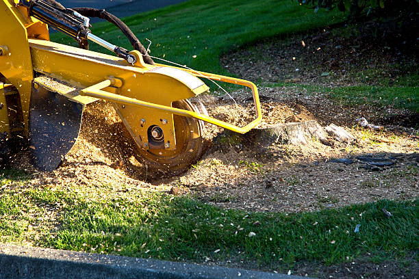 Mulching Services in Becker, MN